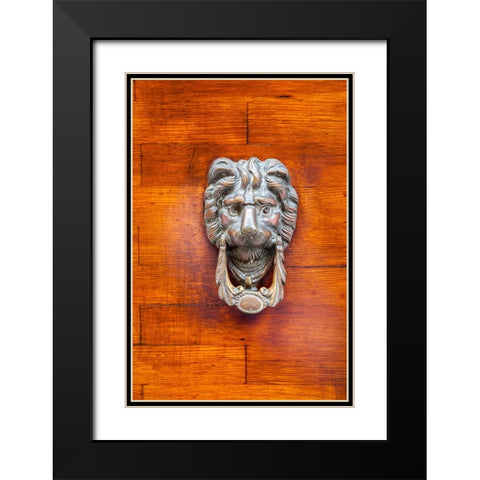 Italy-Venice-Burano Island Closeup of a lion head door knocker on a wooden door Black Modern Wood Framed Art Print with Double Matting by Eggers, Julie