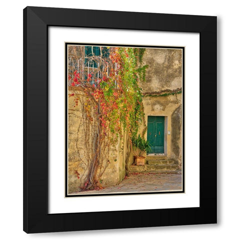 Italy-Tuscany-Monticchiello Red ivy covering the walls of the buildings Black Modern Wood Framed Art Print with Double Matting by Eggers, Julie