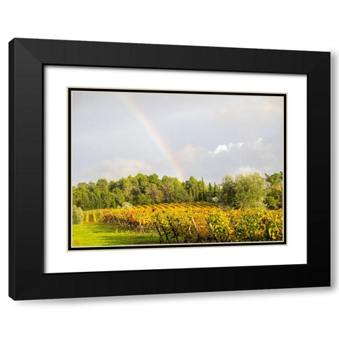 Italy-Tuscany Colorful vineyard and rainbow in autumn Black Modern Wood Framed Art Print with Double Matting by Eggers, Julie