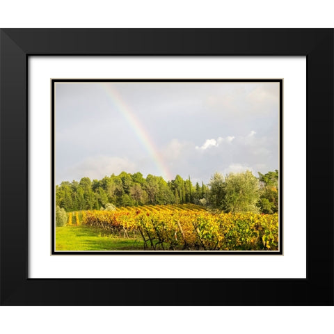 Italy-Tuscany Colorful vineyard and rainbow in autumn Black Modern Wood Framed Art Print with Double Matting by Eggers, Julie