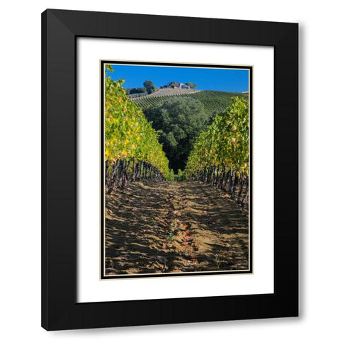 Italy- Umbria. Home surrounded by vineyards. Black Modern Wood Framed Art Print with Double Matting by Eggers, Julie