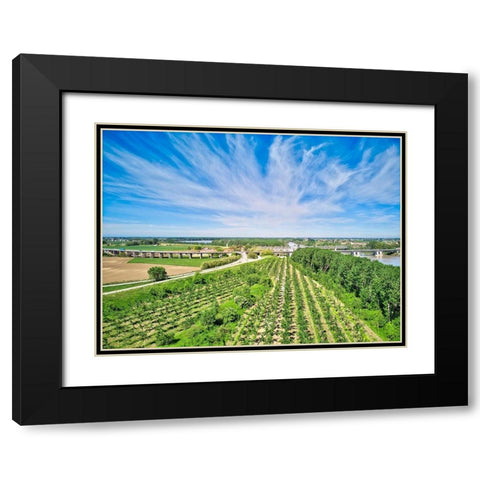 Italy-Mantua-poplar tree plantation-poplar trees are used to produce pulp for paper making Black Modern Wood Framed Art Print with Double Matting by Molinari, Michele