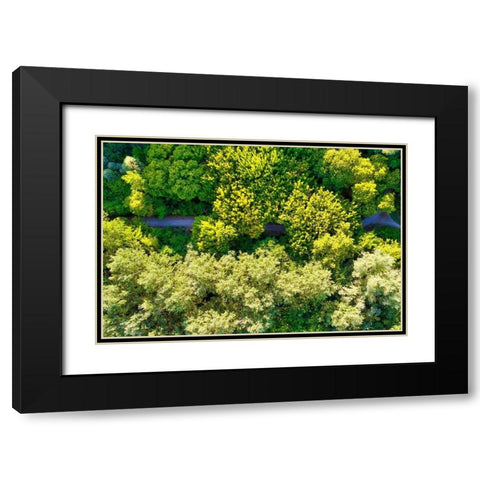 Italy-Mantua-forest treetops Black Modern Wood Framed Art Print with Double Matting by Molinari, Michele