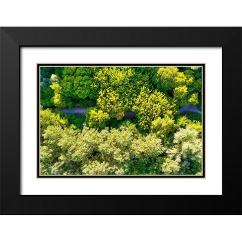 Italy-Mantua-forest treetops Black Modern Wood Framed Art Print with Double Matting by Molinari, Michele