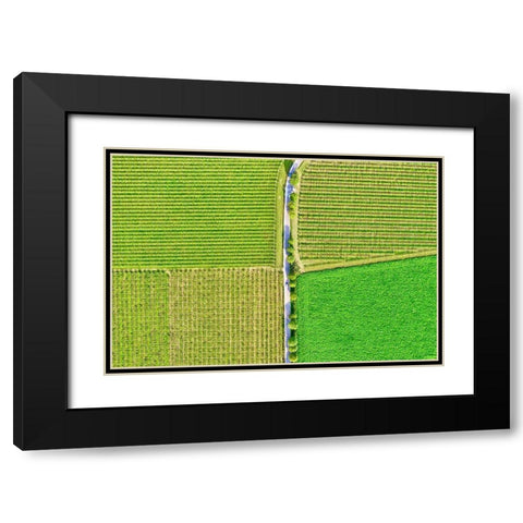 Italy-Valpolicella vineyards Black Modern Wood Framed Art Print with Double Matting by Molinari, Michele