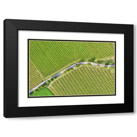 Italy-Valpolicella vineyards Black Modern Wood Framed Art Print with Double Matting by Molinari, Michele