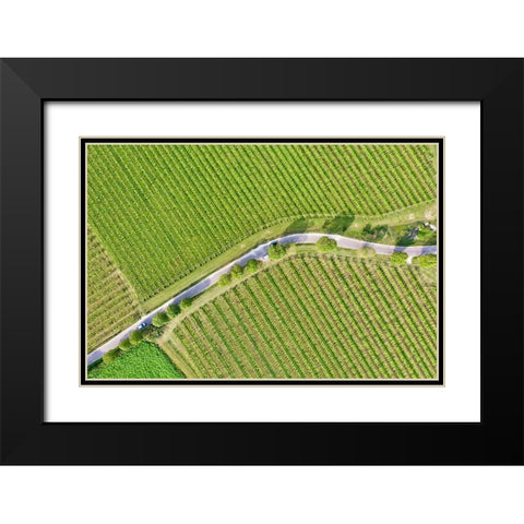 Italy-Valpolicella vineyards Black Modern Wood Framed Art Print with Double Matting by Molinari, Michele