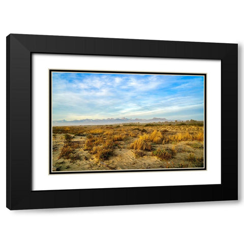 Italy-Riserva Naturale di Massaciuccoli San Rossore-protected coastal forest in Tuscany Black Modern Wood Framed Art Print with Double Matting by Molinari, Michele