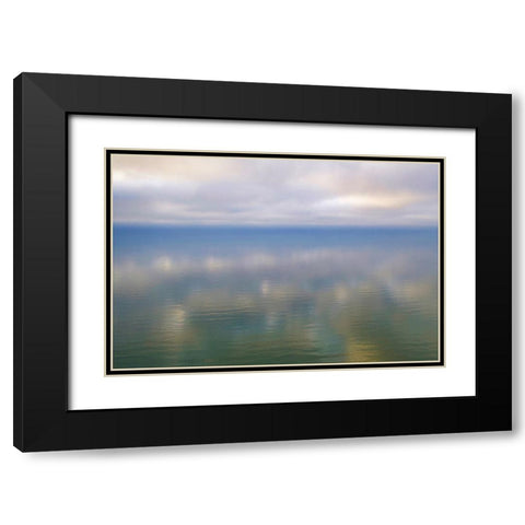 Italy-Riserva Naturale di Massaciuccoli San Rossore-protected coastal forest in Tuscany Black Modern Wood Framed Art Print with Double Matting by Molinari, Michele