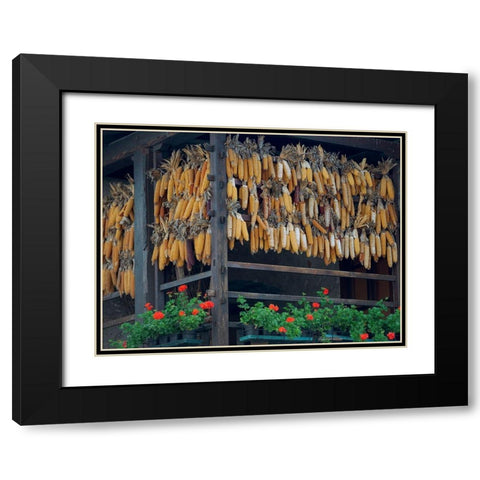 Molveno at lake Lago di Molveno in the Dolomiti di Brenta Dolomites Black Modern Wood Framed Art Print with Double Matting by Zwick, Martin