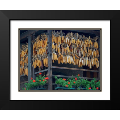 Molveno at lake Lago di Molveno in the Dolomiti di Brenta Dolomites Black Modern Wood Framed Art Print with Double Matting by Zwick, Martin