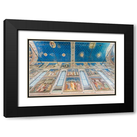 Italy-Padua-Scrovegni Chapel Ceiling with frescoes painted by Giotto in the 14th century Black Modern Wood Framed Art Print with Double Matting by Tilley, Rob