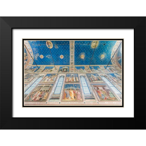 Italy-Padua-Scrovegni Chapel Ceiling with frescoes painted by Giotto in the 14th century Black Modern Wood Framed Art Print with Double Matting by Tilley, Rob