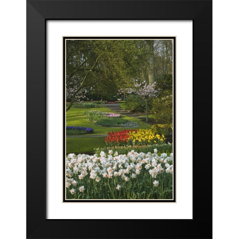 Netherlands, Lisse Manicured garden beds Black Modern Wood Framed Art Print with Double Matting by Flaherty, Dennis