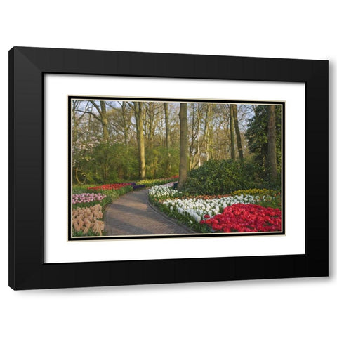 Netherlands, Lisse Path through garden flowers Black Modern Wood Framed Art Print with Double Matting by Flaherty, Dennis