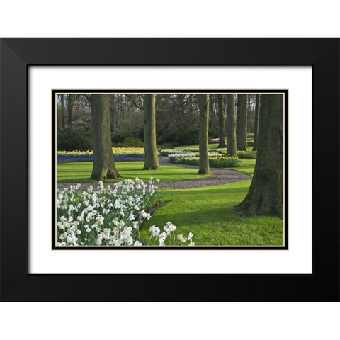 Netherlands, Lisse Blooming flowers and trees Black Modern Wood Framed Art Print with Double Matting by Flaherty, Dennis