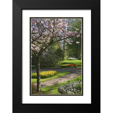 Netherlands, Lisse Garden park in Spring Black Modern Wood Framed Art Print with Double Matting by Flaherty, Dennis