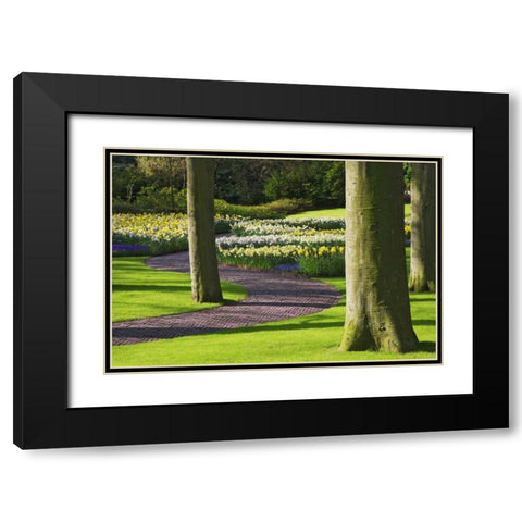 Holland, Lisse Curving path through a gardens Black Modern Wood Framed Art Print with Double Matting by Flaherty, Dennis