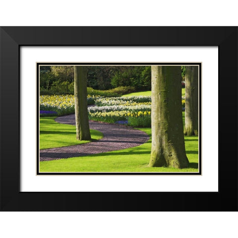 Holland, Lisse Curving path through a gardens Black Modern Wood Framed Art Print with Double Matting by Flaherty, Dennis