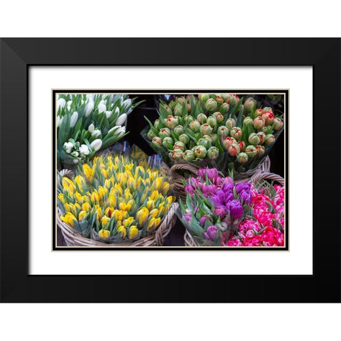 Netherlands-Amsterdam Tulip bouquets on display by vendor  Black Modern Wood Framed Art Print with Double Matting by Jaynes Gallery