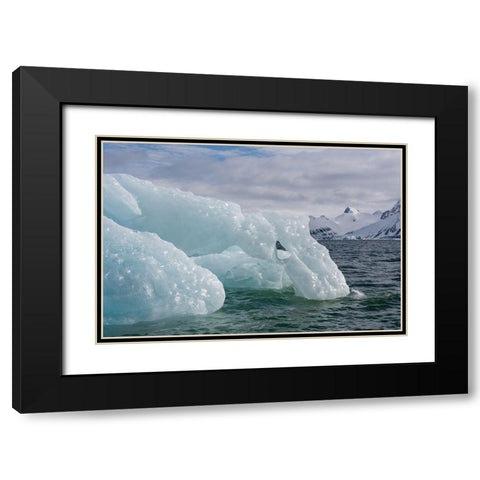 Norway-Svalbard-Spitsbergen-Hornsund Black Modern Wood Framed Art Print with Double Matting by Hopkins, Cindy Miller