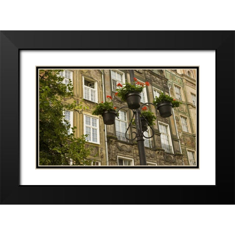 Poland, Gdansk Flower pots decorate buildings Black Modern Wood Framed Art Print with Double Matting by Ross, Nancy ,  Steve