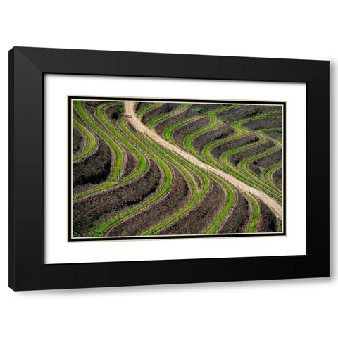 Europe-Portugal-Douro Valley-Vineyard patterns Black Modern Wood Framed Art Print with Double Matting by Jaynes Gallery