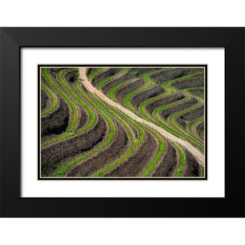 Europe-Portugal-Douro Valley-Vineyard patterns Black Modern Wood Framed Art Print with Double Matting by Jaynes Gallery