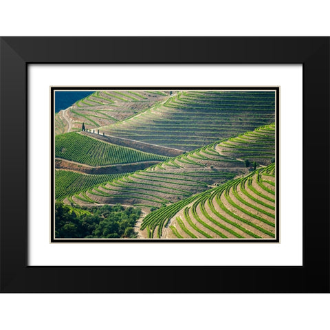 Europe-Portugal-Douro Valley-Vineyard patterns Black Modern Wood Framed Art Print with Double Matting by Jaynes Gallery