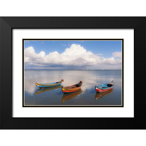 Europe-Portugal-Aveiro Lagoon-Traditional fishing boats moored in water Black Modern Wood Framed Art Print with Double Matting by Jaynes Gallery