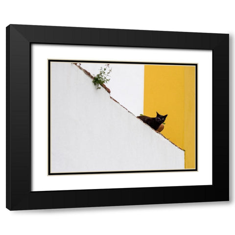 Portugal-Obidos-Black cat sitting on stairs Black Modern Wood Framed Art Print with Double Matting by Eggers, Julie