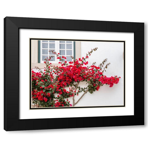Portugal-Obidos-Beautiful red bougainvillea blooming against a white stone wall Black Modern Wood Framed Art Print with Double Matting by Eggers, Julie