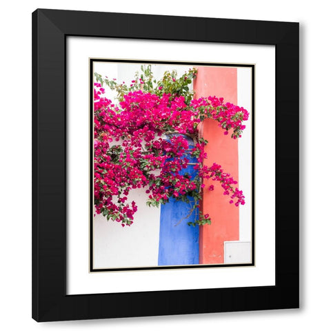Portugal-Obidos-Dark pink bougainvillea vine against a blue-orange and white striped wall Black Modern Wood Framed Art Print with Double Matting by Eggers, Julie