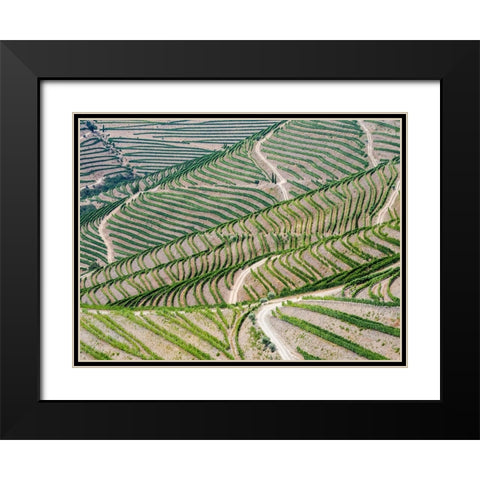 Portugal-Douro Valley-Terraced vineyards lining the hills Black Modern Wood Framed Art Print with Double Matting by Eggers, Julie