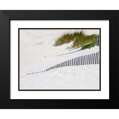 Portugal-Costa Nova-Beach grass-sand and old fence line at the beach resort of Costa Nova near Avei Black Modern Wood Framed Art Print with Double Matting by Eggers, Julie