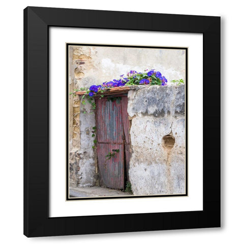 Portugal-Aveiro-Old red metal door with bright blue and pink morning glory flower vine covering abo Black Modern Wood Framed Art Print with Double Matting by Eggers, Julie