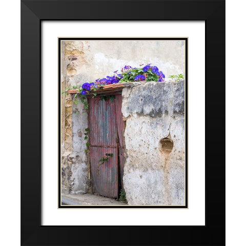 Portugal-Aveiro-Old red metal door with bright blue and pink morning glory flower vine covering abo Black Modern Wood Framed Art Print with Double Matting by Eggers, Julie