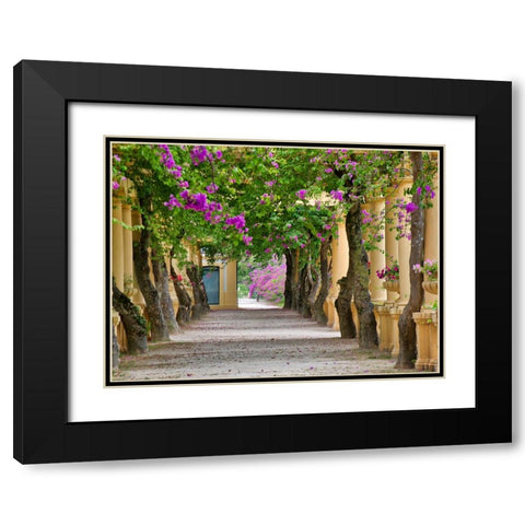 Portugal-Aveiro-Parque Dom Pedro Infante in Aveiro-Stone balustrade with pergola and columns Black Modern Wood Framed Art Print with Double Matting by Eggers, Julie