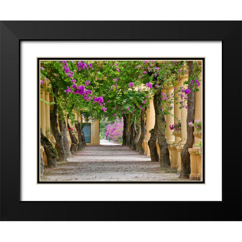 Portugal-Aveiro-Parque Dom Pedro Infante in Aveiro-Stone balustrade with pergola and columns Black Modern Wood Framed Art Print with Double Matting by Eggers, Julie