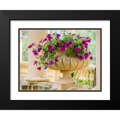 Portugal-Aveiro-Parque Dom Pedro Infante in Aveiro-Stone balustrade with pergola and columns Black Modern Wood Framed Art Print with Double Matting by Eggers, Julie