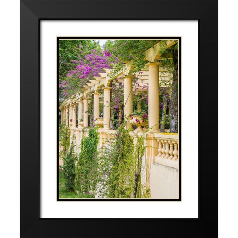 Portugal-Aveiro-Parque Dom Pedro Infante in Aveiro-Stone balustrade with pergola and columns Black Modern Wood Framed Art Print with Double Matting by Eggers, Julie