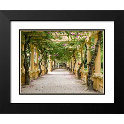 Portugal-Aveiro-Parque Dom Pedro Infante in Aveiro-Stone balustrade with pergola and columns Black Modern Wood Framed Art Print with Double Matting by Eggers, Julie