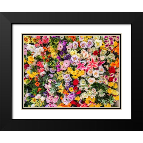Portugal-Lisbon-The San Antonio wall flowers near the entrance of the Museu de Lisboa Black Modern Wood Framed Art Print with Double Matting by Eggers, Julie