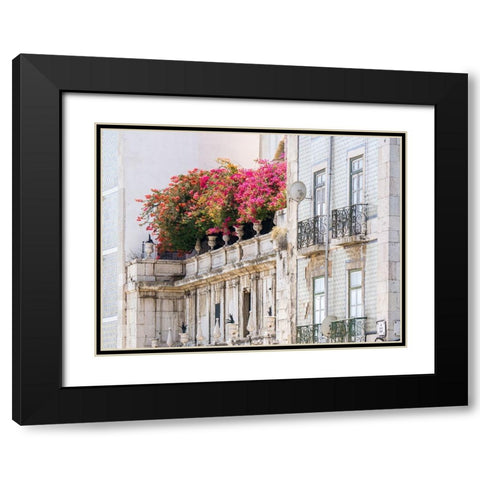 Portugal-Lisbon-Colorful Bougainvillea trailing over balcony of white building Black Modern Wood Framed Art Print with Double Matting by Eggers, Julie