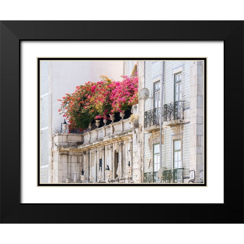 Portugal-Lisbon-Colorful Bougainvillea trailing over balcony of white building Black Modern Wood Framed Art Print with Double Matting by Eggers, Julie