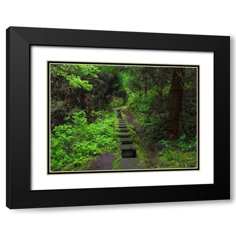 Levada-traditional irrigation channel near Cabeco Gordo in dense forest  Black Modern Wood Framed Art Print with Double Matting by Zwick, Martin