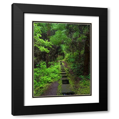 Levada-traditional irrigation channel near Cabeco Gordo in dense forest  Black Modern Wood Framed Art Print with Double Matting by Zwick, Martin