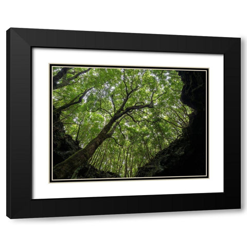 Lava tube Gruta das Torres-collapsed ceiling Pico Island Black Modern Wood Framed Art Print with Double Matting by Zwick, Martin