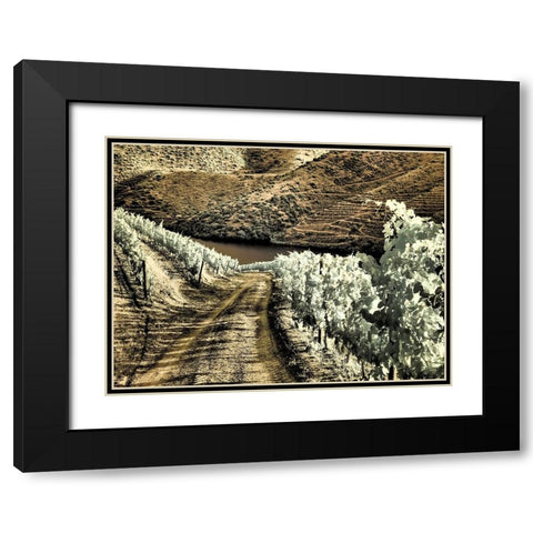 Portugal-Douro Valley-Backcountry road through the vineyards Black Modern Wood Framed Art Print with Double Matting by Eggers, Terry