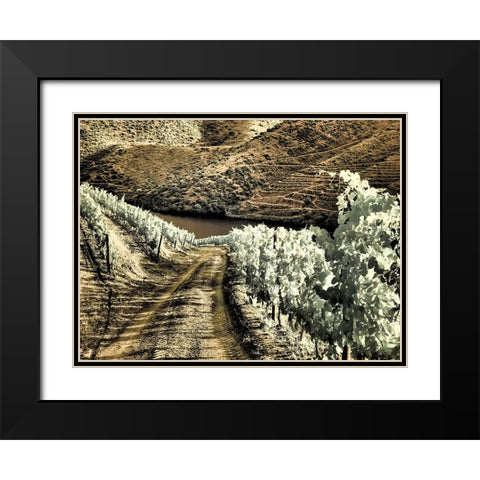 Portugal-Douro Valley-Backcountry road through the vineyards Black Modern Wood Framed Art Print with Double Matting by Eggers, Terry